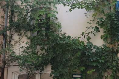Maison 4 pièces 292500 €