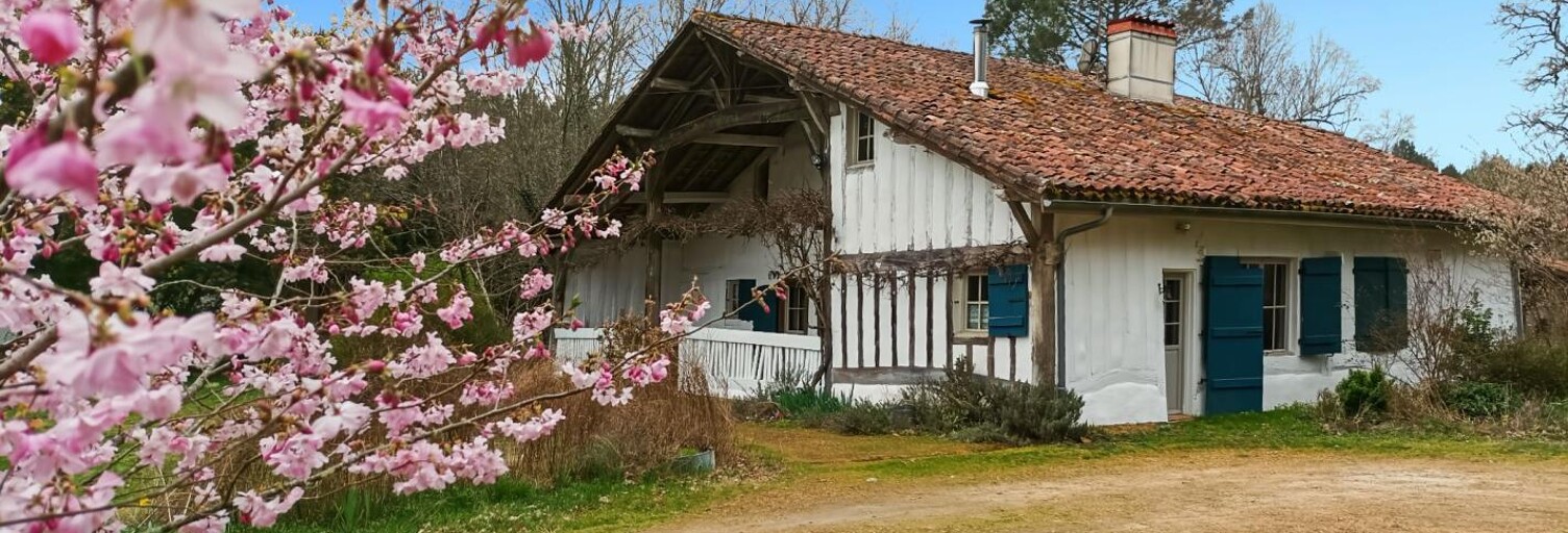 Maison 5 Pièces 179 m² à vendre à Le Sen (40420)