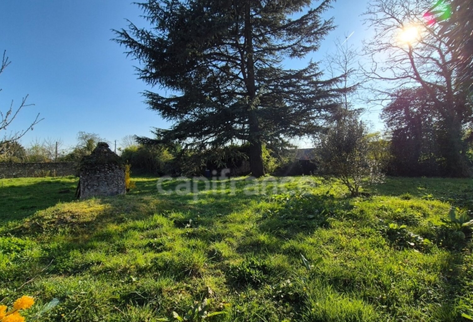 Terrain constructible de 430 m² à vendre SERMAISE (91530) — photo 1