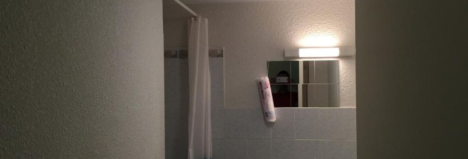 Appartement 1 Pièce 21 m² à louer à Brest (29200)