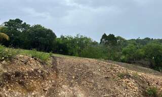 Terrain  1020 m² à vendre à Le Moule (97160)