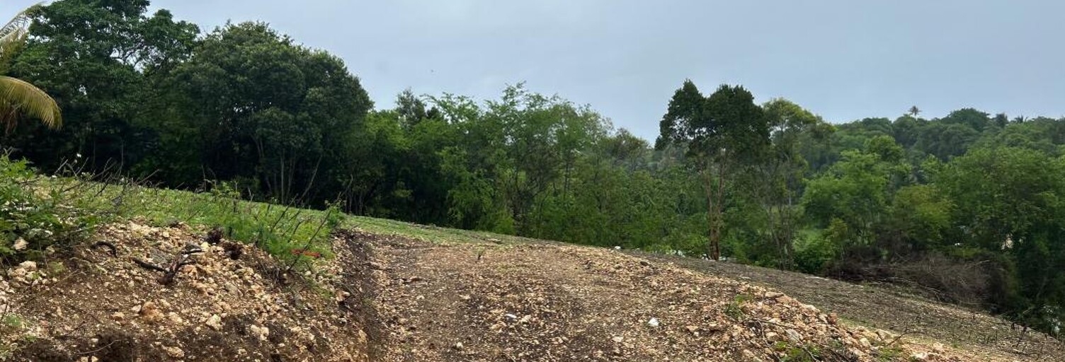 Terrain  1020 m² à vendre à Le Moule (97160)