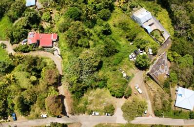 TERRAIN CONSTRUCTIBLE  de 3 242 m² -Emprise au sol 50 % -LE FRANÇOIS — photo du bien