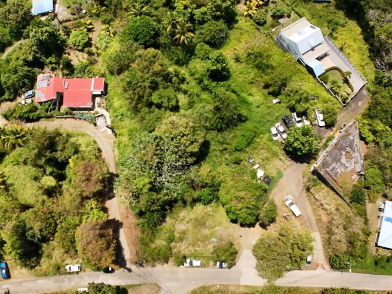 TERRAIN CONSTRUCTIBLE  de 3 242 m² -Emprise au sol 50 % -LE FRANÇOIS — photo 1