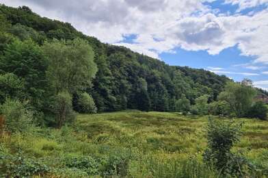 Terrain  40000 €