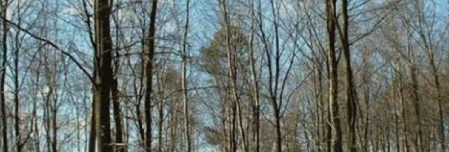 Terrain  3100 m² à vendre à Échourgnac (24410)