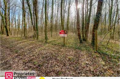 Terrain  38990 €