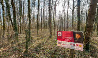 Photo N° 2