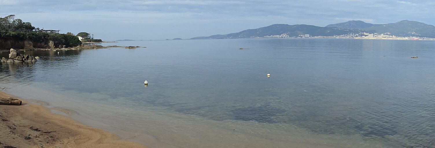 Appartement 3 Pièces 52 m² à vendre à Albitreccia (20128)