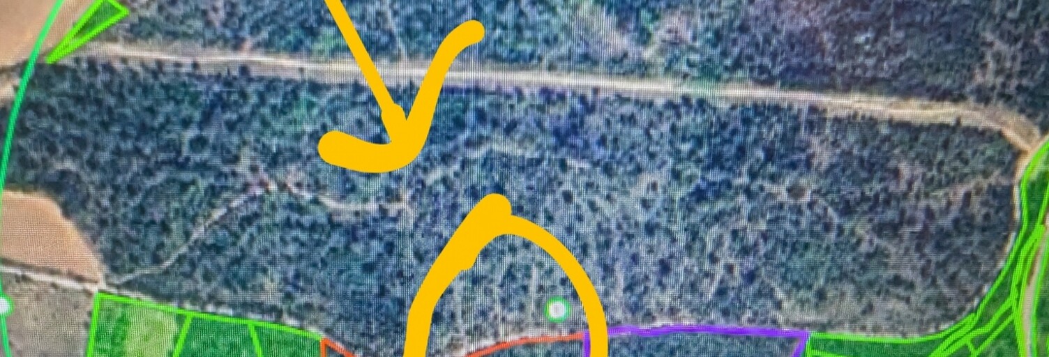 Terrain  9000 m² à vendre à Lorgues (83510)