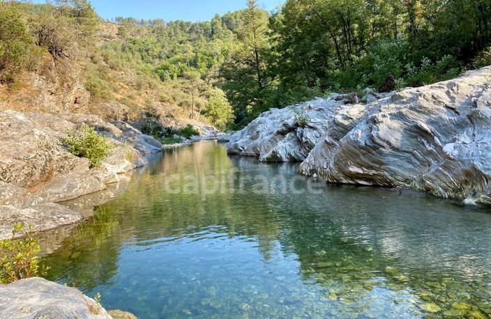 Dpt Gard (30), à vendre proche de BARJAC, aux portes de l'Ardèche, ancien Mas avec gîtes de 350 m² - Terrain de 5 000 m² avec piscine — photo 2
