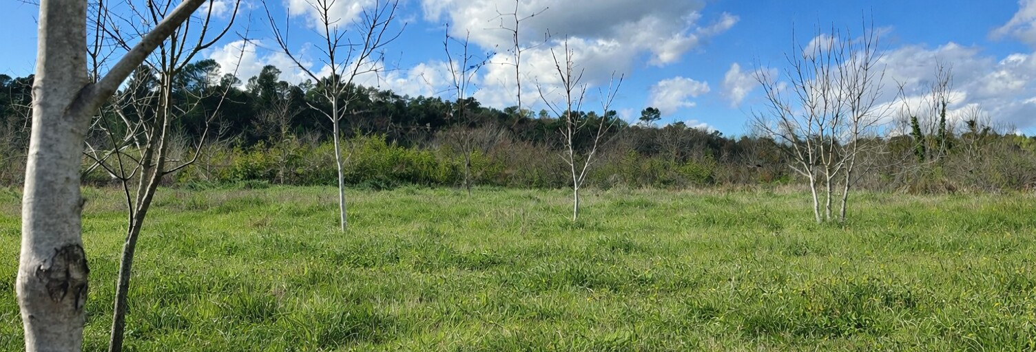 Terrain 500 m² à construire Saint-Maximin-la-Sainte-Baume (83470)