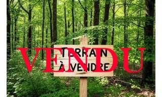 Terrain  11011 m² à vendre à Béganne (56350)