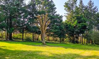 Terrain  2650 m² à vendre à Le Mans (72000)