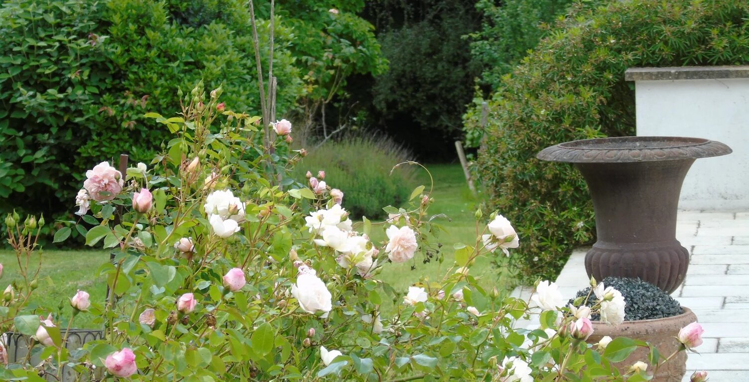 RARE MAISON SUR PARCELLE ARBORÉE DE 2 700 M² — photo 1