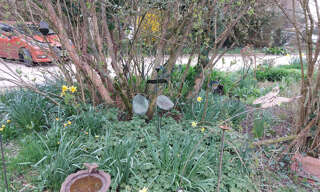 Maison 7 Pièces 152 m² à vendre à Savigné-l'Évêque (72460)