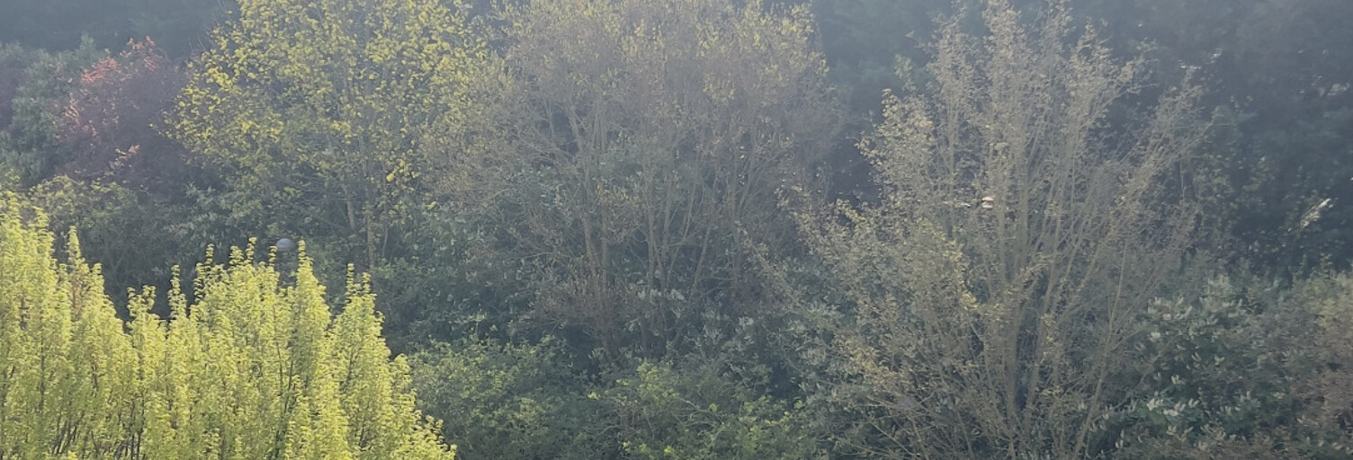 Appartement 3 Pièces 52 m² à vendre à Créteil (94000)