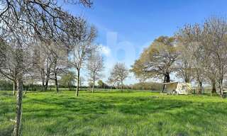 Maison 6 Pièces 115 m² à vendre à Loireauxence (44370)