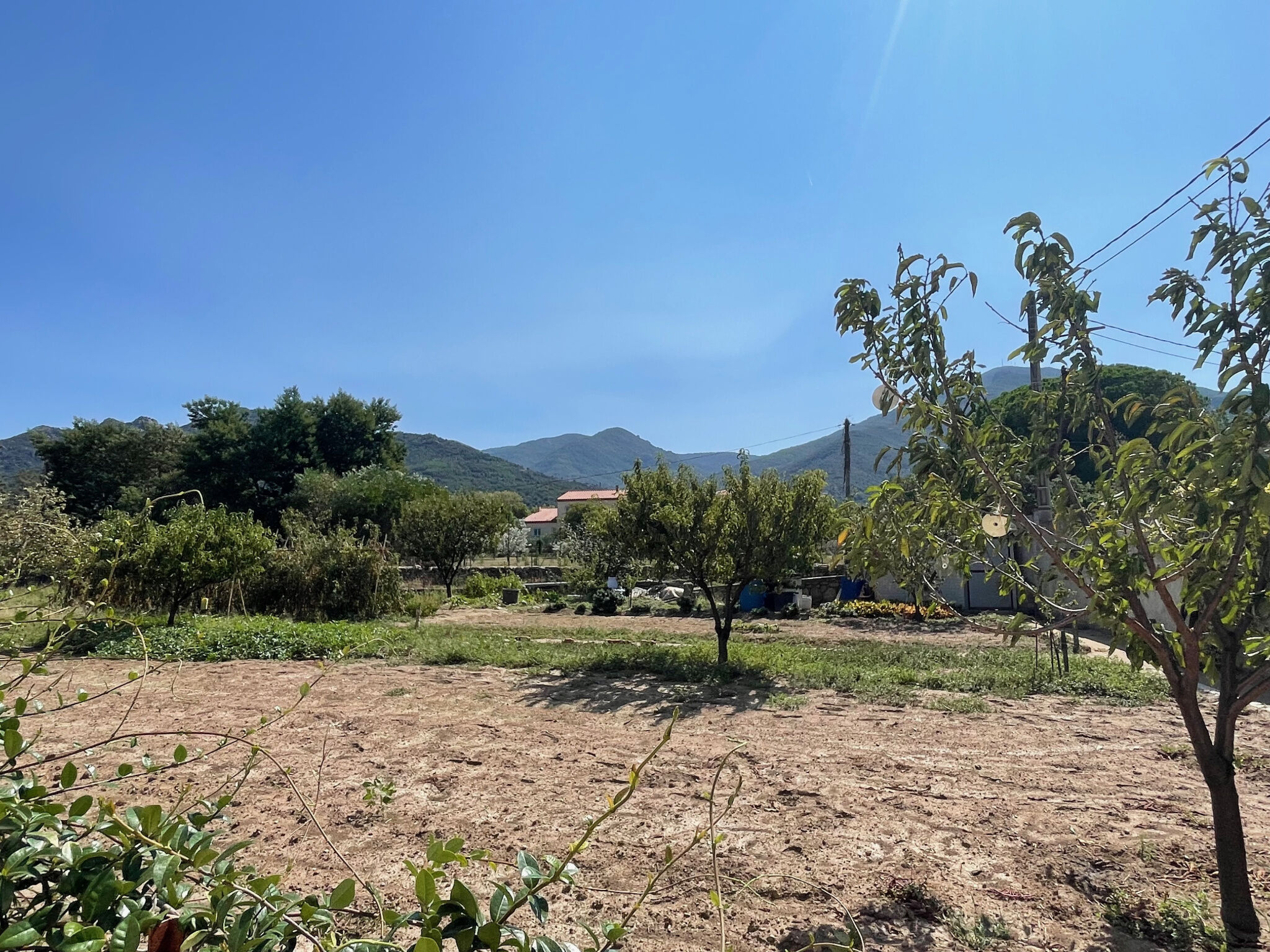 Terrain  à vendre Sorède 66690