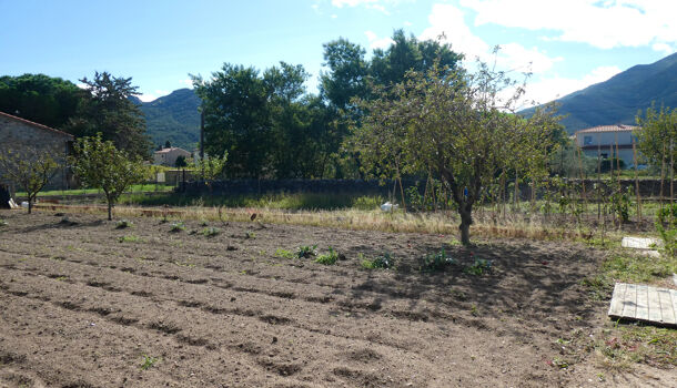 Terrain  à vendre Sorède 66690