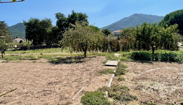 Terrain  à vendre Sorède 66690