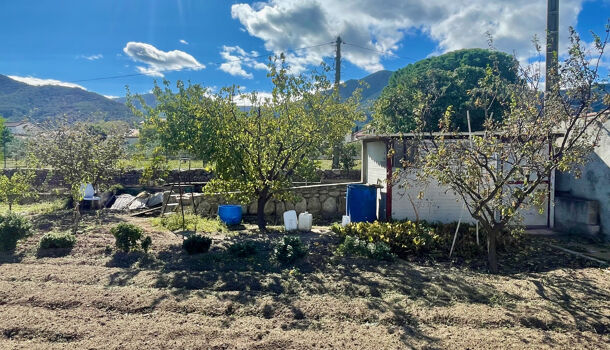 Terrain  à vendre Sorède 66690