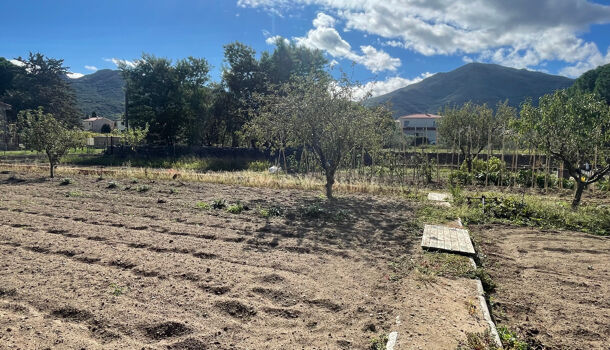 Terrain  à vendre Sorède 66690