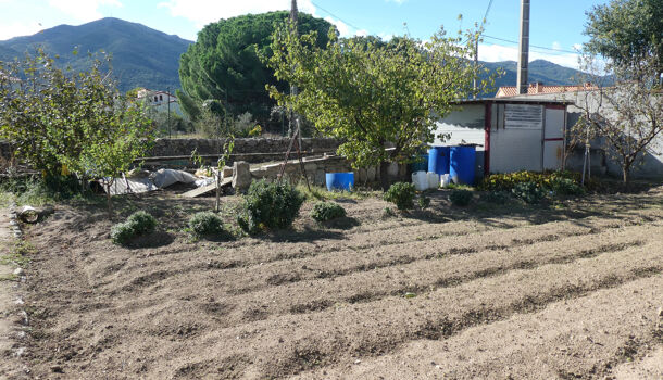 Terrain  à vendre Sorède 66690