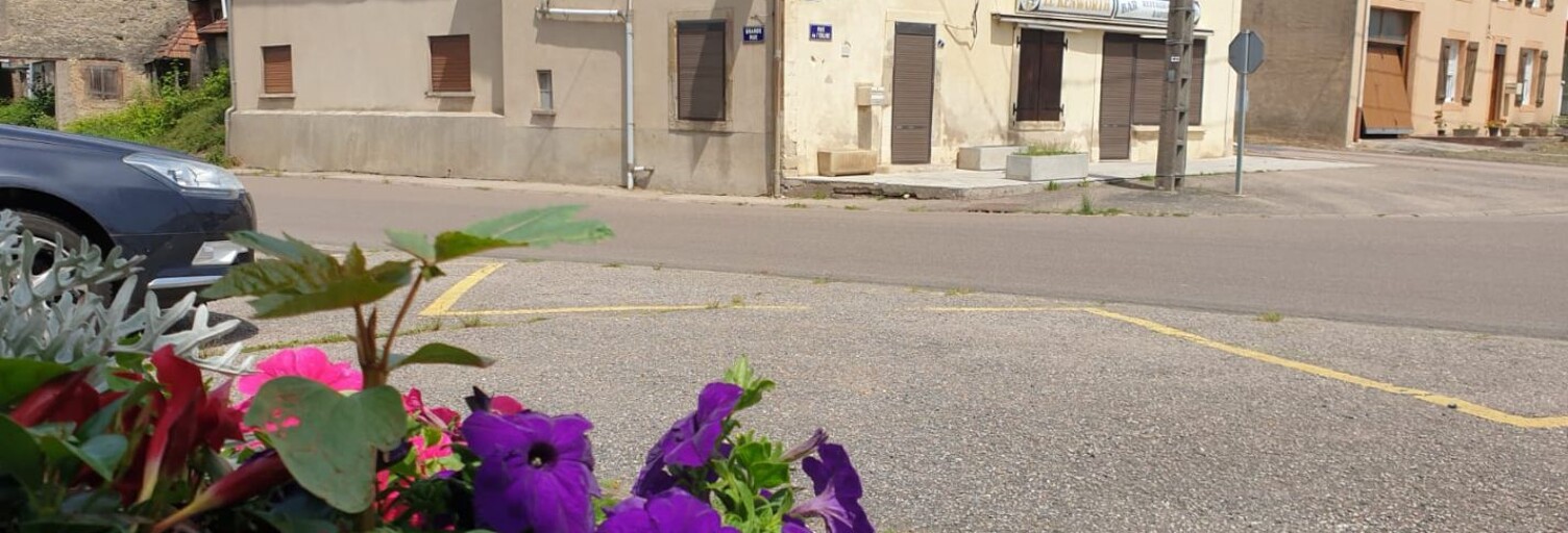 Maison 7 Pièces 300 m² à vendre à Magnières (54129)