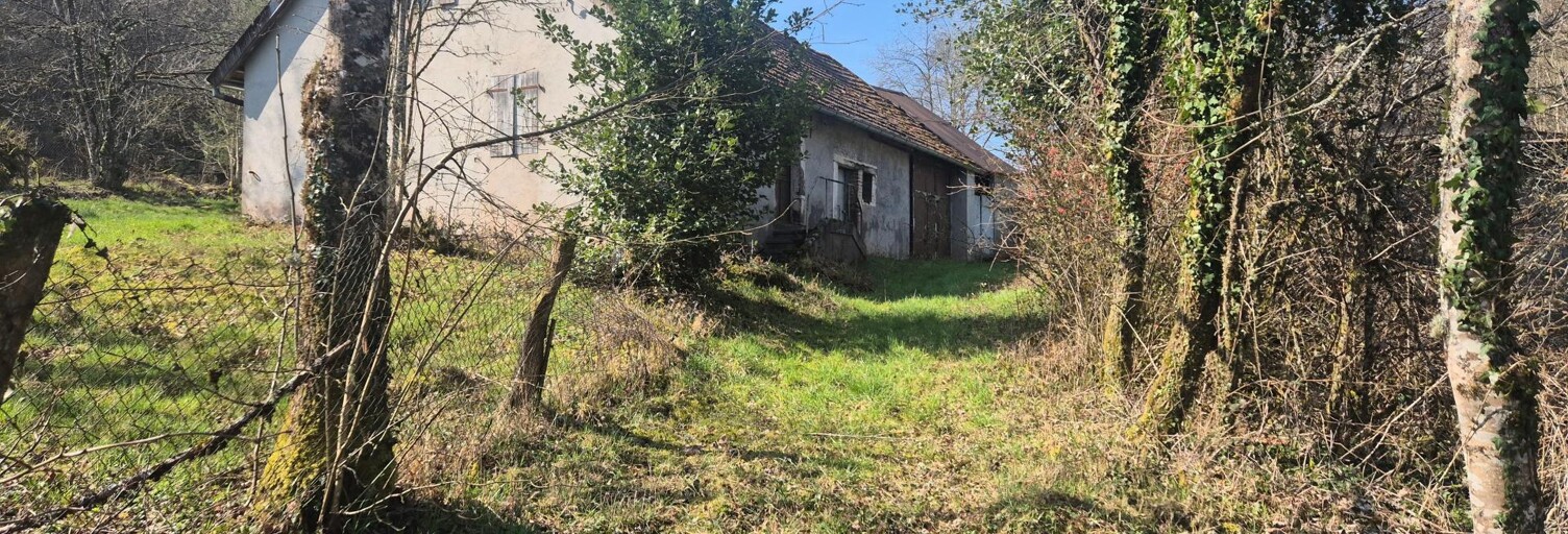 Maison 3 Pièces 220 m² à vendre à Étueffont (90170)