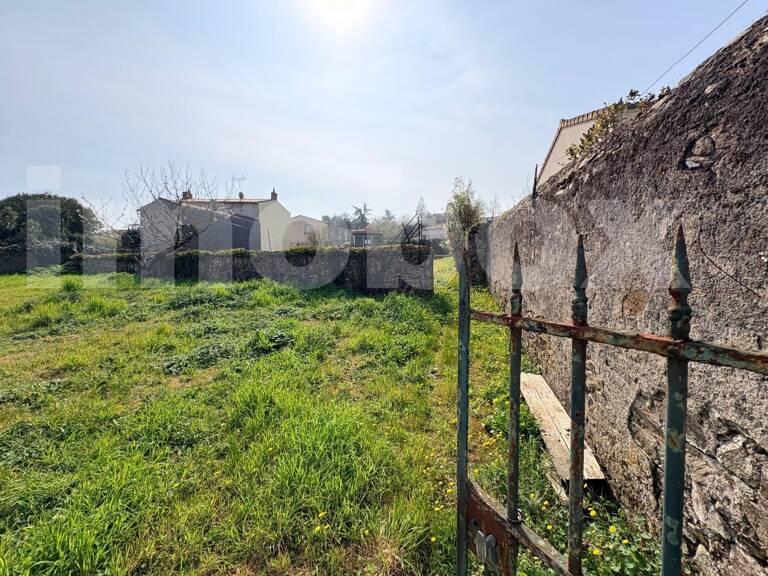 terrain — photo 1