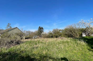 Terrain  55000 €