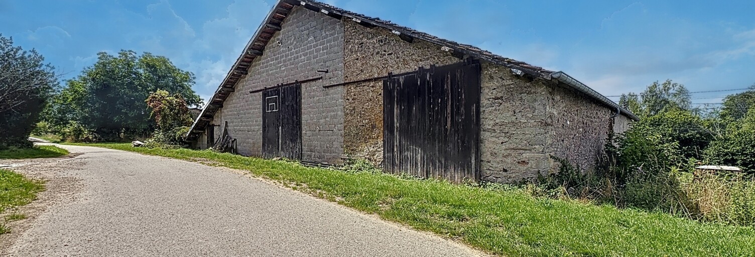 Photo N° 2