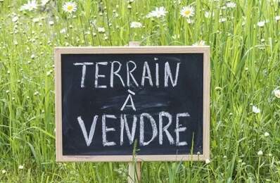 Terrain — photo du bien
