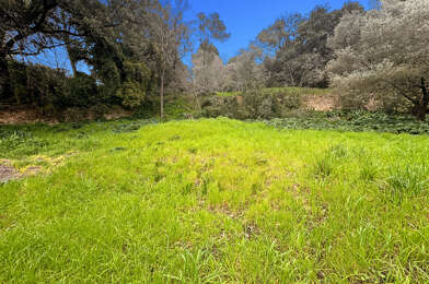 Terrain  285000 €