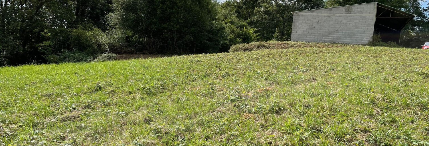 Terrain  2356 m² à vendre à Saint-Sever (40500)