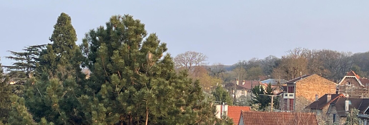 Appartement 3 Pièces 52 m² à vendre à Viroflay (78220)