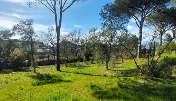 Villa / Maison 5 pièces  à vendre Vidauban 83550