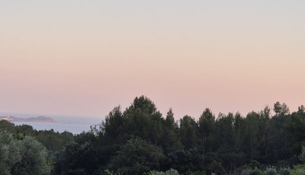 Terrain  à vendre Bandol 83150