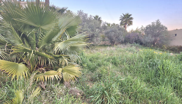 Terrain  à vendre Bandol 83150