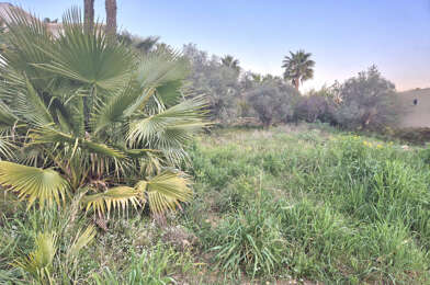 Terrain  490000 €