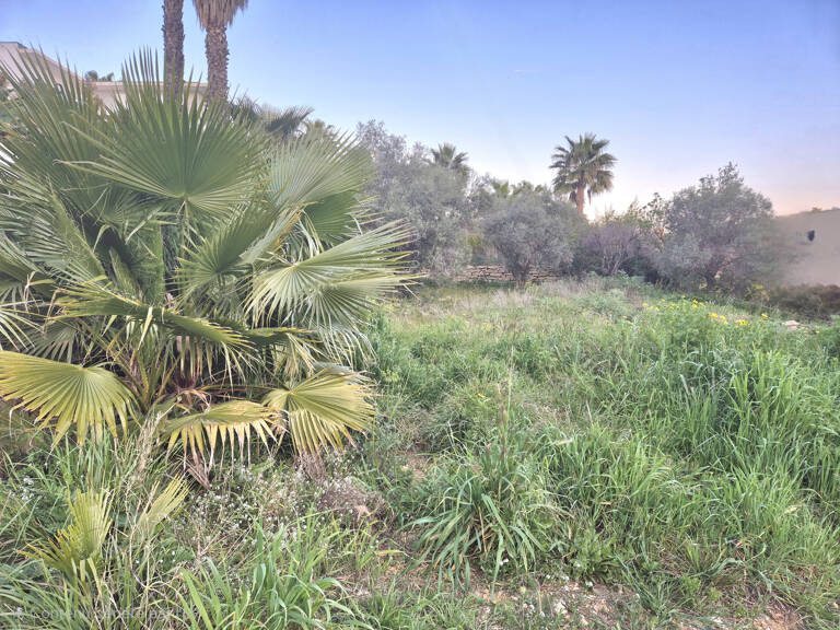 TERRAIN DE 492 M2 - PETITE VUE MER - 83150 BANDOL — photo 1
