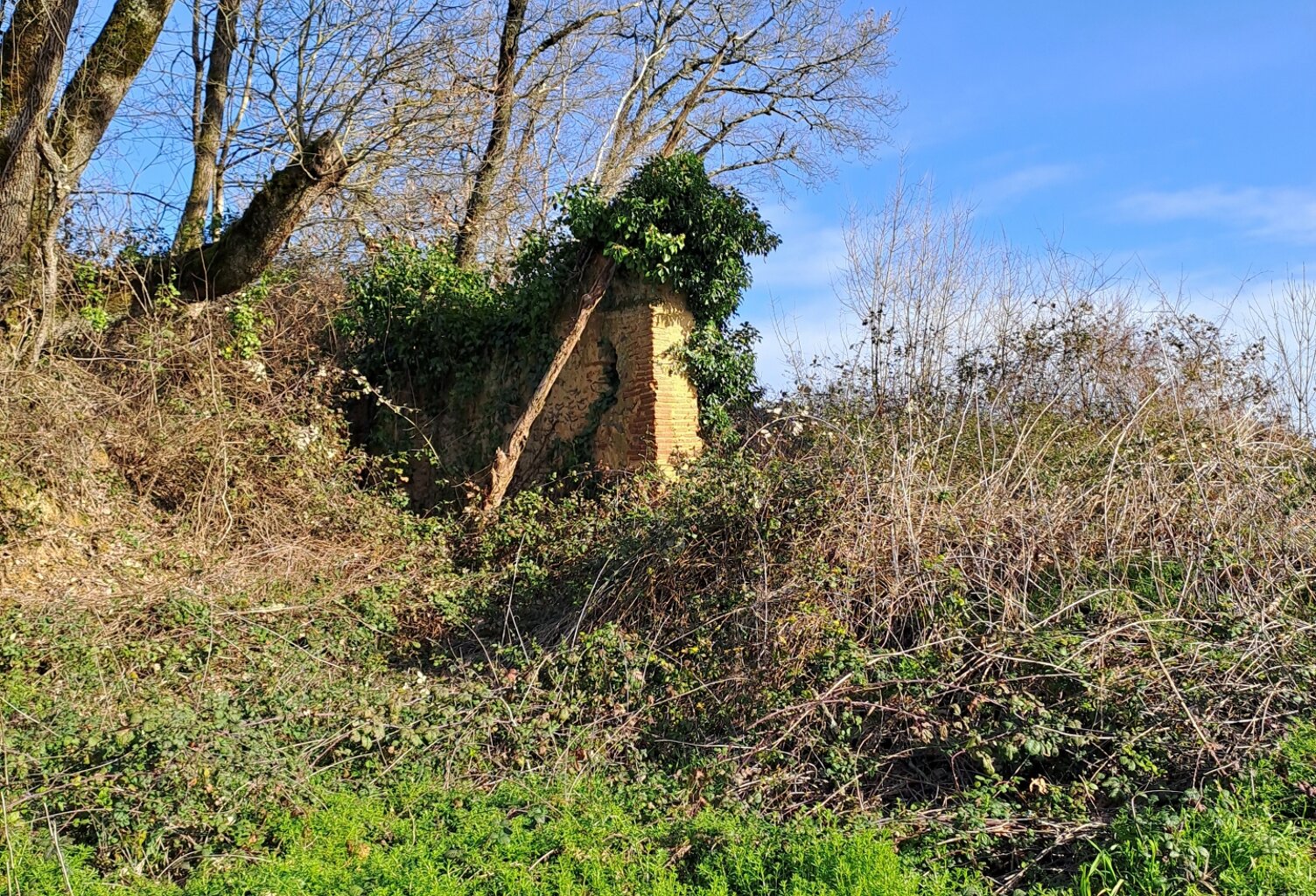 Vente Terrain agricole 97 607 m&sup2; — photo 1