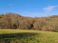 Vente Terrain agricole 97 607 m&sup2; — photo 4