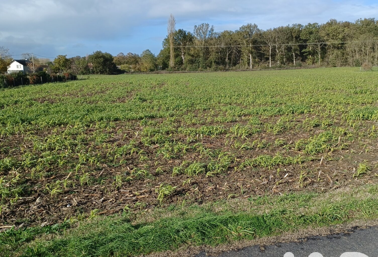 Vente Terrain 3 070 m&sup2; — photo 1