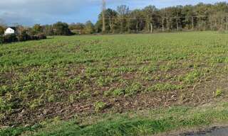 Terrain  3070 m² à vendre à Chouppes (86110)