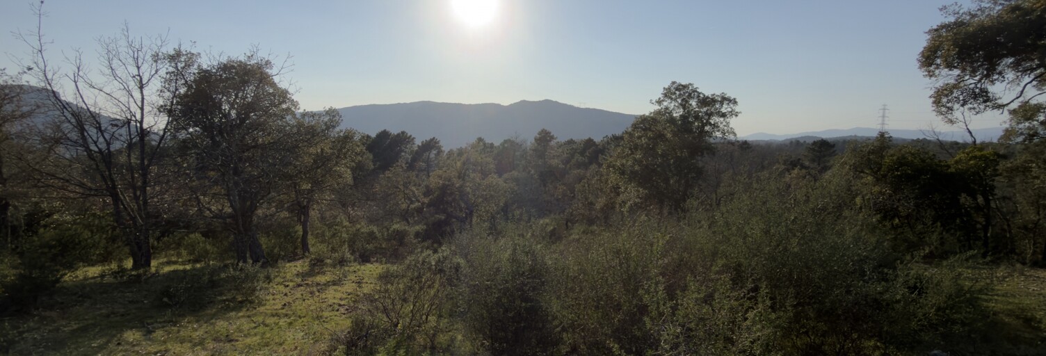 Terrain  13927 m² à vendre à Bagnols-en-Forêt (83600)