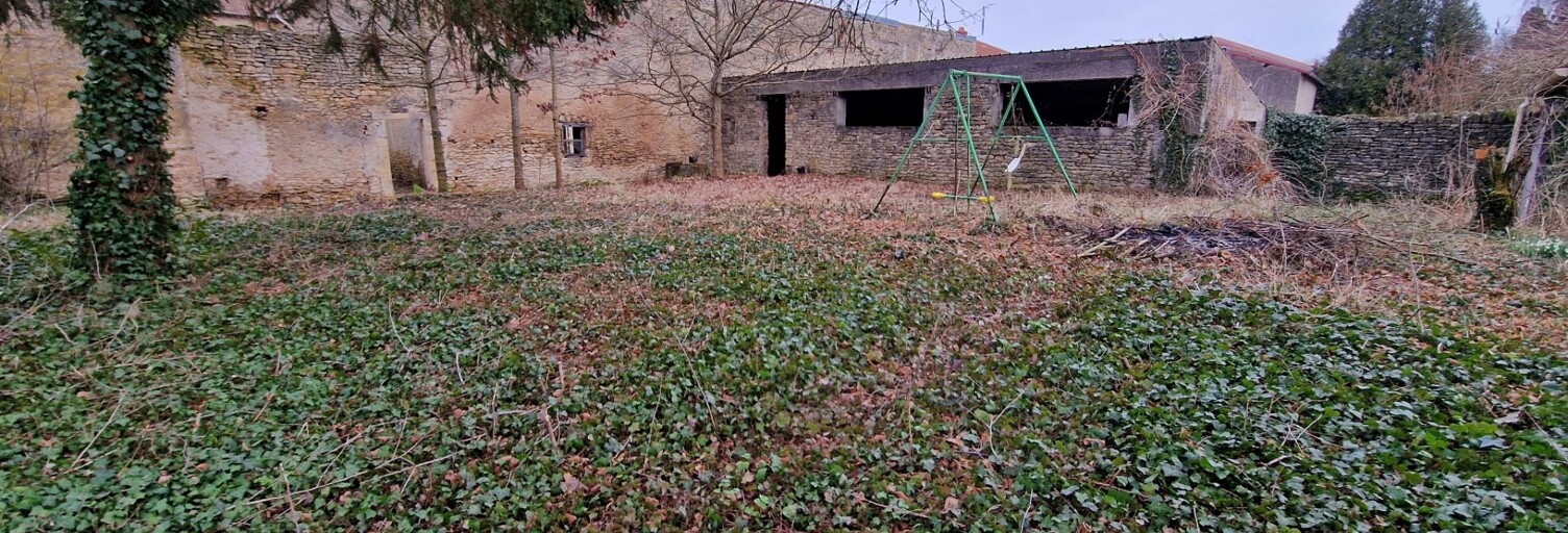 Photo N° 2