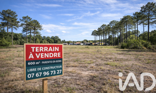 Terrain  599 m² à vendre à Parentis-en-Born (40160)