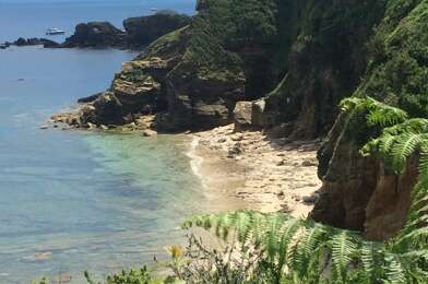 Terrain  345000 €